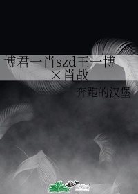 博君一肖szd王一博肖战